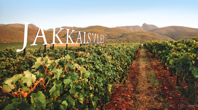 Jakkalsvlei - Pink Moscato 750ml