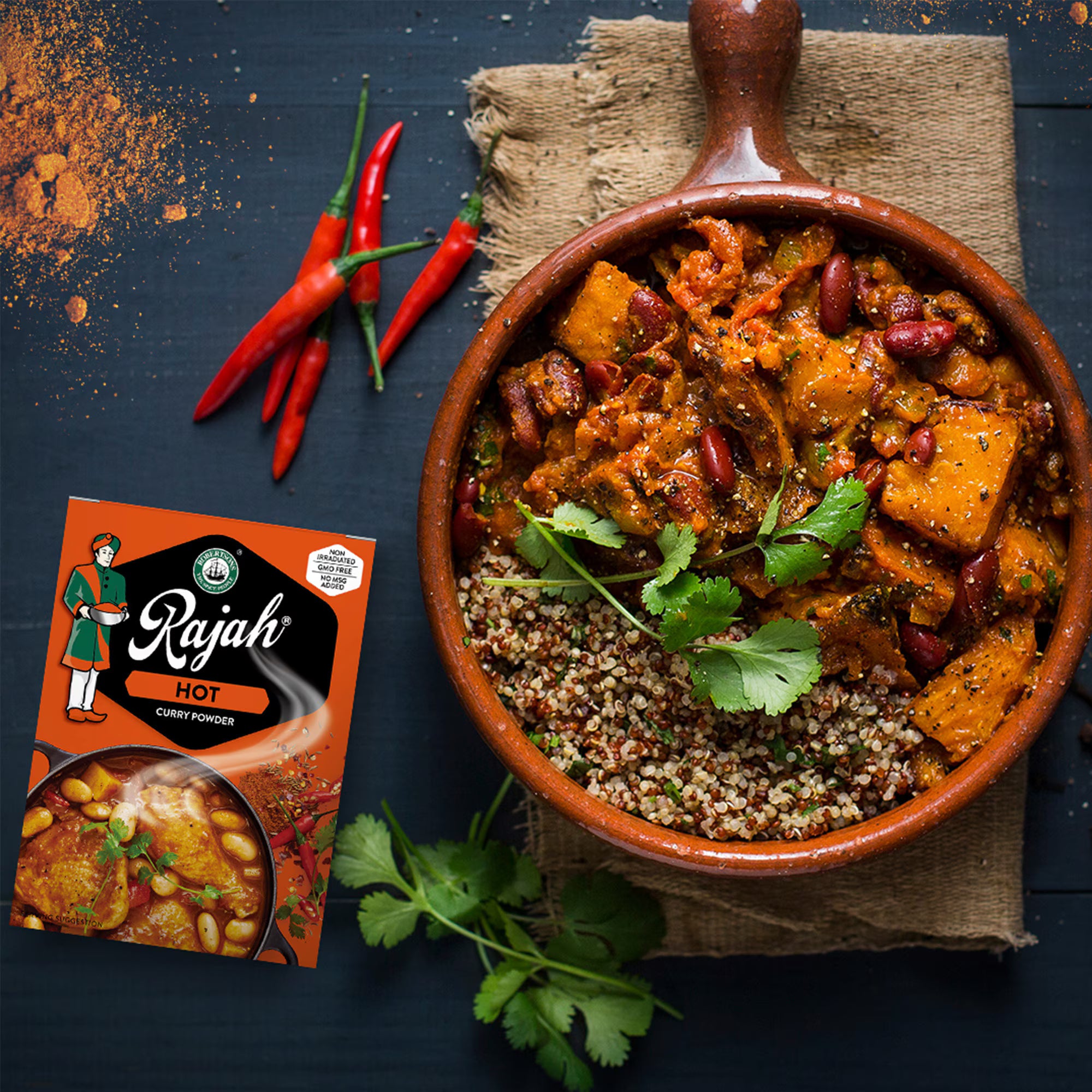 Robertsons - Rajah Hot Curry Powder 100g