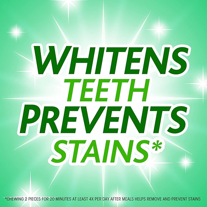 Trident - White Spearmint Sugar Free Chewing Gum