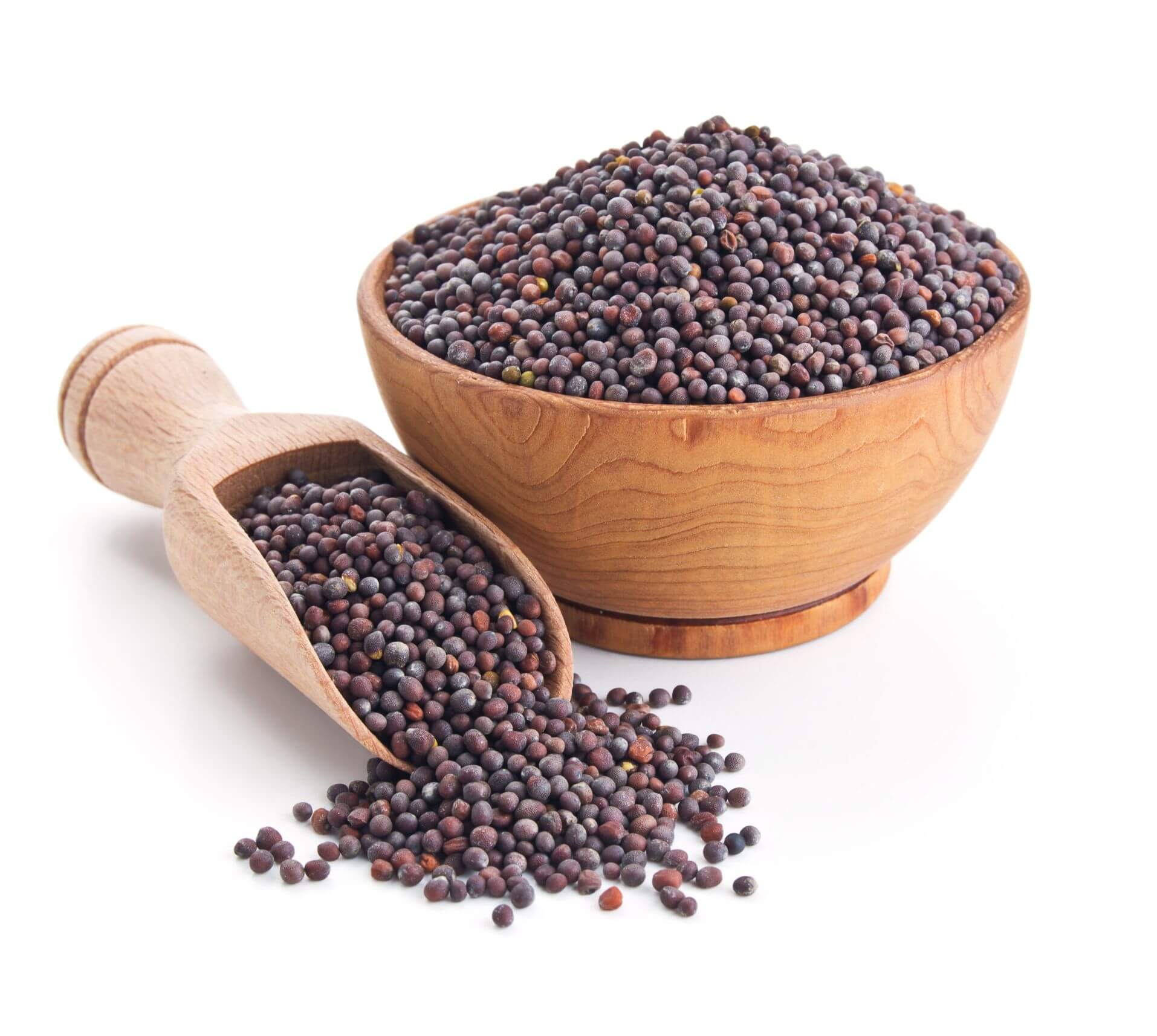 Spice World - Mustard Seeds 500g