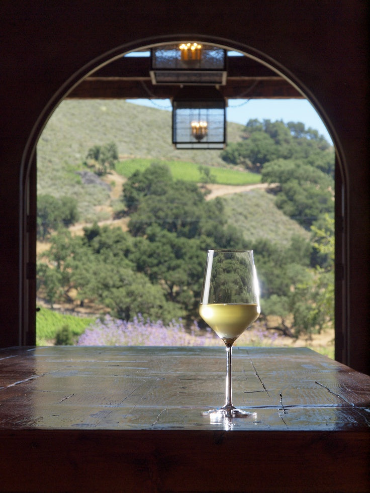Spier - Sauvignon Blanc 750ml (2018 Year)