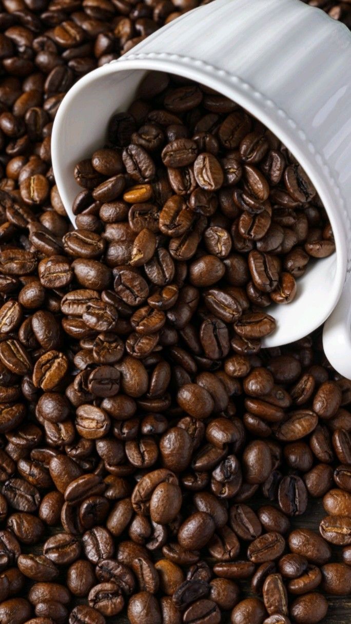 Frisco - Instant Coffee 250g