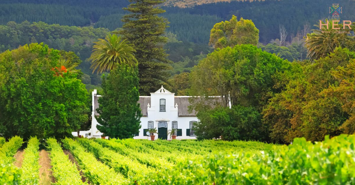 Durbanville Hills Sauvignon blanc 750ml (2024)