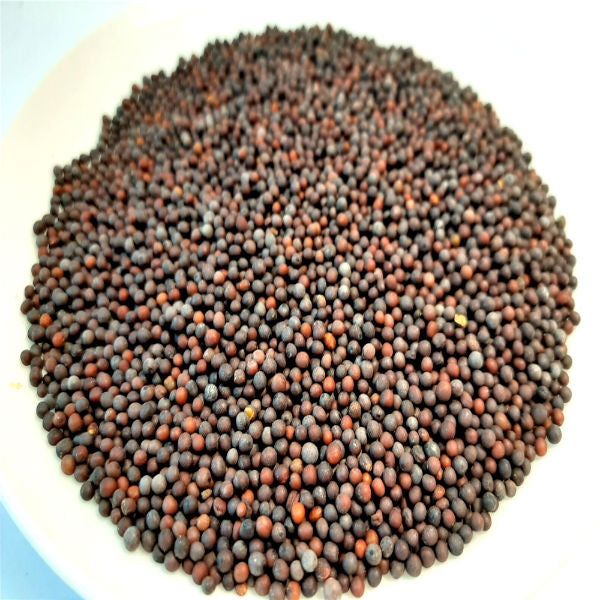 Spice World - Mustard Seeds 500g