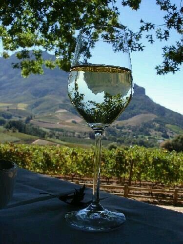 Spier - Chardonnay 750ml (2024)