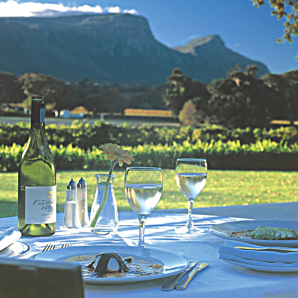 Durbanville Hills Sauvignon blanc 750ml (2024)