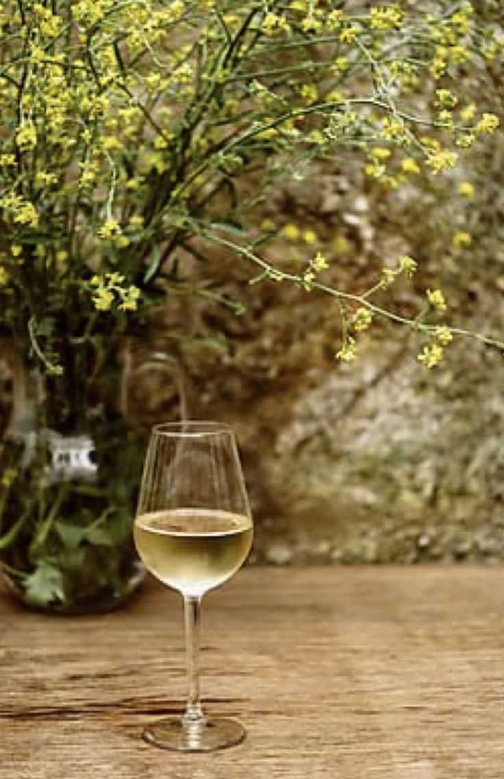 Spier - Sauvignon Blanc 750ml (2018 Year)