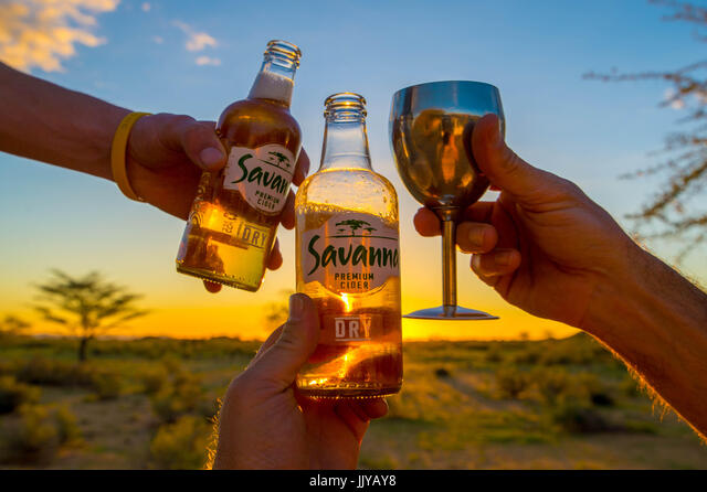 Savanna - Premier Cider Dry  500ml