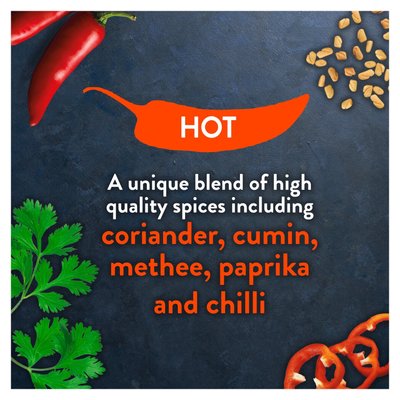 Robertsons - Rajah Hot Curry Powder 100g