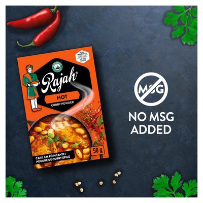 Robertsons - Rajah Hot Curry Powder 100g